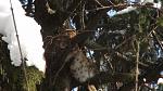      : DSC01296.JPG : 217 :	167.2  ID:	10772