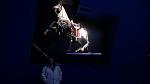     : DSC01195.JPG : 211 :	71.6  ID:	10779