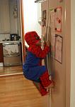      : spider.jpg : 202 :	38.7  ID:	13008