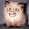 : prik_bqovrmbr.jpg : 515 : 4.0 