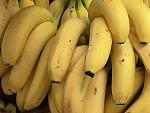      : bananas-1-DHD.jpg : 90 :	42.6  ID:	4972
