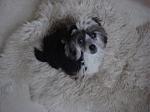      : DSC06284_new.jpg : 354 :	60.8  ID:	4989
