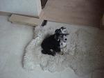      : DSC06286_new.jpg : 329 :	56.2  ID:	4990