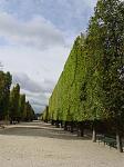      : DSC01221.jpg : 237 :	75.3  ID:	5851