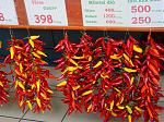      : DSC01321.JPG : 230 :	290.2  ID:	5870