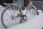     : DSC03982.JPG : 207 :	139.2  ID:	6694