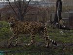      : DSC01468.JPG : 199 :	257.9  ID:	7412