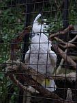      : DSC01449.JPG : 177 :	202.8  ID:	7413