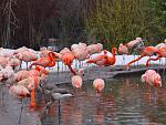      : DSC01480.JPG : 186 :	280.2  ID:	7414