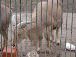      : DSC01452.JPG : 197 :	204.8  ID:	7416