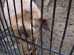      : DSC01457.JPG : 202 :	218.9  ID:	7417