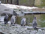      : DSC01481.JPG : 180 :	258.6  ID:	7420
