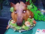      : DSC01418.JPG : 278 :	219.9  ID:	7424