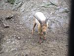      : DSC00526.JPG : 214 :	222.9  ID:	7495