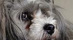      : DSC00018.JPG : 364 :	180.2  ID:	8524
