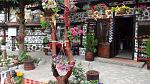      : DSC00220.JPG : 174 :	189.8  ID:	8615