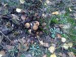      : 02102010085.jpg : 208 :	141.2  ID:	9436