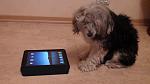      : DSC01144.JPG : 202 :	107.5  ID:	9857