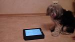      : DSC01149.JPG : 187 :	80.6  ID:	9859